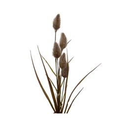 [230030197] Pasto artificial 74cm